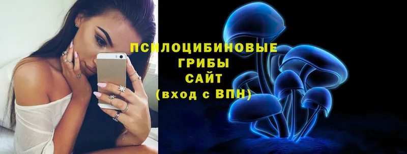 Галлюциногенные грибы Psilocybe Заволжье